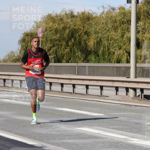 03.10.2025 - Köhlbrandbrückenlauf Julia Fischer http://msf.ph/oto/9005000 03.10.2025 12:36:51 Position 3 6483 meine-sportfotos.de