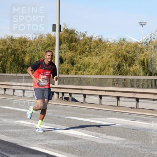 03.10.2025 - Köhlbrandbrückenlauf Julia Fischer http://msf.ph/oto/9005004 03.10.2025 12:36:52 Position 3 6483 meine-sportfotos.de