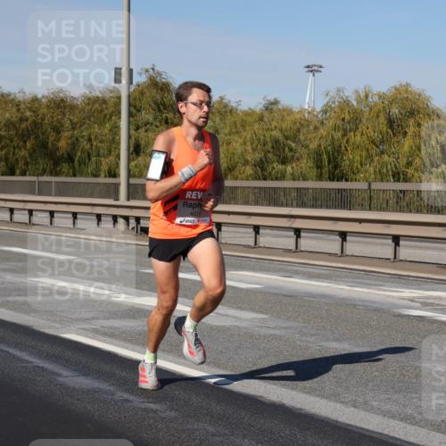03.10.2025 - Köhlbrandbrückenlauf Julia Fischer http://msf.ph/oto/9005686 03.10.2025 12:41:44 Position 3 4019 meine-sportfotos.de