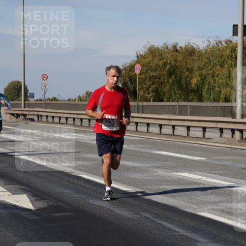 03.10.2025 - Köhlbrandbrückenlauf Julia Fischer http://msf.ph/oto/9005716 03.10.2025 12:41:53 Position 3 12, 1, 1251, 4142 meine-sportfotos.de