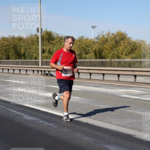 03.10.2025 - Köhlbrandbrückenlauf Julia Fischer http://msf.ph/oto/9005729 03.10.2025 12:41:54 Position 3  meine-sportfotos.de