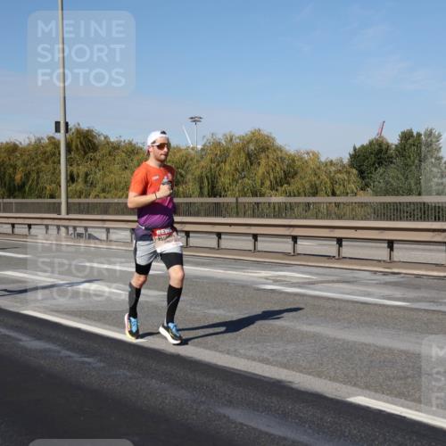 03.10.2025 - Köhlbrandbrückenlauf Julia Fischer http://msf.ph/oto/9005887 03.10.2025 12:42:30 Position 3  meine-sportfotos.de