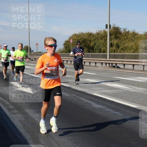 03.10.2025 - Köhlbrandbrückenlauf Julia Fischer http://msf.ph/oto/9006471 03.10.2025 12:44:16 Position 3 4041 meine-sportfotos.de