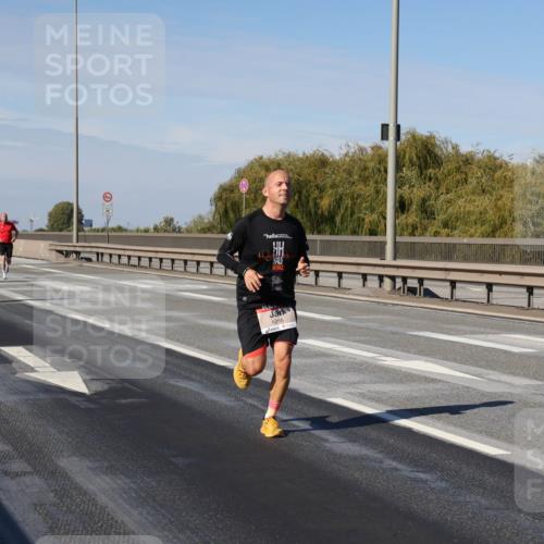 03.10.2025 - Köhlbrandbrückenlauf Julia Fischer http://msf.ph/oto/9006535 03.10.2025 12:44:30 Position 3  meine-sportfotos.de