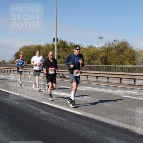 03.10.2025 - Köhlbrandbrückenlauf Julia Fischer http://msf.ph/oto/9006727 03.10.2025 12:44:54 Position 3  meine-sportfotos.de