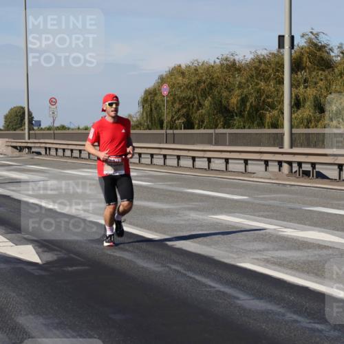 03.10.2025 - Köhlbrandbrückenlauf Julia Fischer http://msf.ph/oto/9006998 03.10.2025 12:45:52 Position 3 12, 5, 14 meine-sportfotos.de