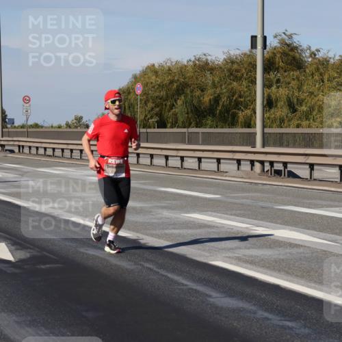 03.10.2025 - Köhlbrandbrückenlauf Julia Fischer http://msf.ph/oto/9007004 03.10.2025 12:45:52 Position 3  meine-sportfotos.de