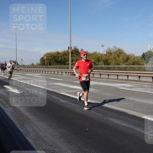 03.10.2025 - Köhlbrandbrückenlauf Julia Fischer http://msf.ph/oto/9007013 03.10.2025 12:45:54 Position 3  meine-sportfotos.de
