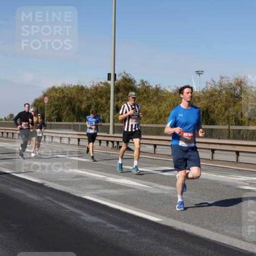 03.10.2025 - Köhlbrandbrückenlauf Julia Fischer http://msf.ph/oto/9007665 03.10.2025 12:48:07 Position 3  meine-sportfotos.de
