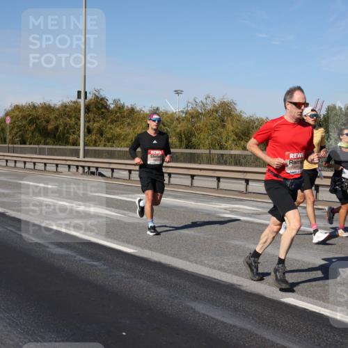 03.10.2025 - Köhlbrandbrückenlauf Julia Fischer http://msf.ph/oto/9007690 03.10.2025 12:48:11 Position 3 5779 meine-sportfotos.de