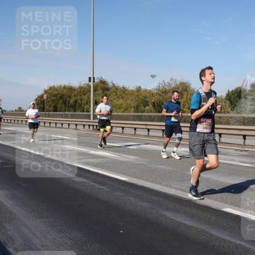 03.10.2025 - Köhlbrandbrückenlauf Julia Fischer http://msf.ph/oto/9007745 03.10.2025 12:48:22 Position 3 4763 meine-sportfotos.de