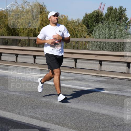 03.10.2025 - Köhlbrandbrückenlauf Julia Fischer http://msf.ph/oto/9007772 03.10.2025 12:48:26 Position 3 4407 meine-sportfotos.de