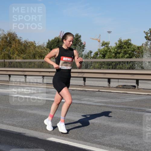 03.10.2025 - Köhlbrandbrückenlauf Julia Fischer http://msf.ph/oto/9007964 03.10.2025 12:49:05 Position 3 4492 meine-sportfotos.de