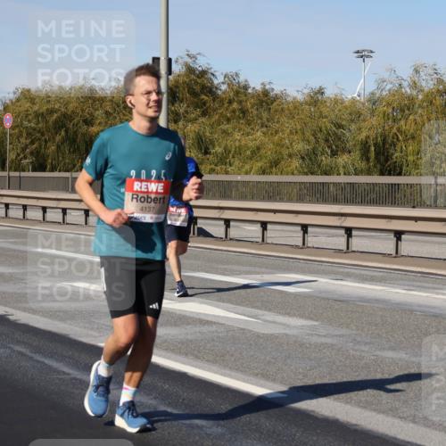 03.10.2025 - Köhlbrandbrückenlauf Julia Fischer http://msf.ph/oto/9007982 03.10.2025 12:49:11 Position 3 2025, 4137, 4281 meine-sportfotos.de