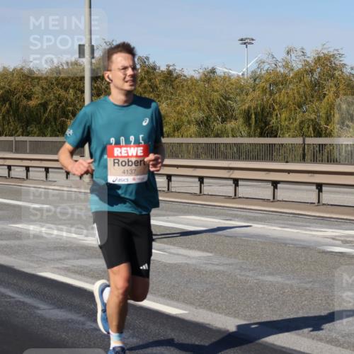03.10.2025 - Köhlbrandbrückenlauf Julia Fischer http://msf.ph/oto/9007987 03.10.2025 12:49:11 Position 3 2025, 4137 meine-sportfotos.de