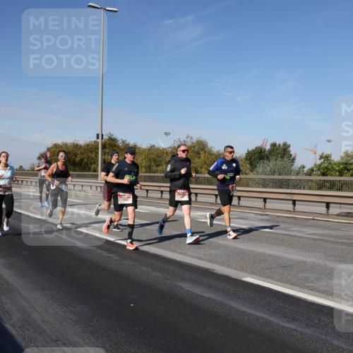 03.10.2025 - Köhlbrandbrückenlauf Julia Fischer http://msf.ph/oto/9008025 03.10.2025 12:49:18 Position 3  meine-sportfotos.de