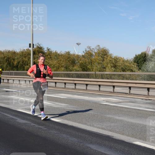 03.10.2025 - Köhlbrandbrückenlauf Julia Fischer http://msf.ph/oto/9008183 03.10.2025 12:49:48 Position 3  meine-sportfotos.de