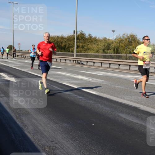 03.10.2025 - Köhlbrandbrückenlauf Julia Fischer http://msf.ph/oto/9008261 03.10.2025 12:50:03 Position 3  meine-sportfotos.de