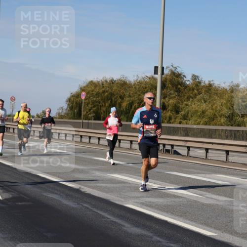 03.10.2025 - Köhlbrandbrückenlauf Julia Fischer http://msf.ph/oto/9008313 03.10.2025 12:50:14 Position 3  meine-sportfotos.de