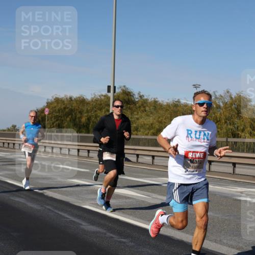 03.10.2025 - Köhlbrandbrückenlauf Julia Fischer http://msf.ph/oto/9008399 03.10.2025 12:50:26 Position 3 4109 meine-sportfotos.de