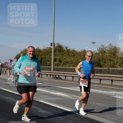 03.10.2025 - Köhlbrandbrückenlauf Julia Fischer http://msf.ph/oto/9008432 03.10.2025 12:50:28 Position 3 5948, 4372 meine-sportfotos.de