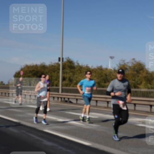 03.10.2025 - Köhlbrandbrückenlauf Julia Fischer http://msf.ph/oto/9008446 03.10.2025 12:50:31 Position 3  meine-sportfotos.de