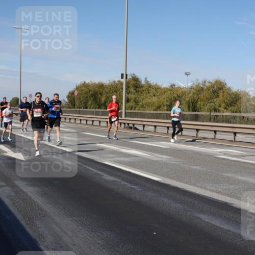 03.10.2025 - Köhlbrandbrückenlauf Julia Fischer http://msf.ph/oto/9008529 03.10.2025 12:50:50 Position 3  meine-sportfotos.de