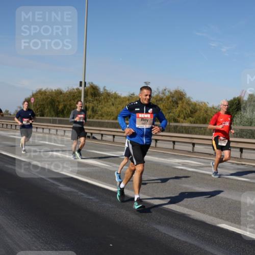 03.10.2025 - Köhlbrandbrückenlauf Julia Fischer http://msf.ph/oto/9008549 03.10.2025 12:50:53 Position 3 6470 meine-sportfotos.de