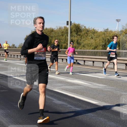 03.10.2025 - Köhlbrandbrückenlauf Julia Fischer http://msf.ph/oto/9008628 03.10.2025 12:51:08 Position 3 4055 meine-sportfotos.de