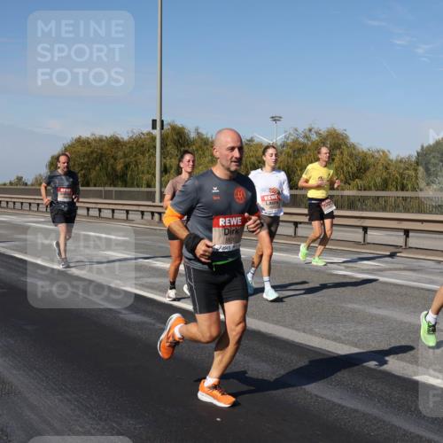 03.10.2025 - Köhlbrandbrückenlauf Julia Fischer http://msf.ph/oto/9008720 03.10.2025 12:51:15 Position 3 5670 meine-sportfotos.de