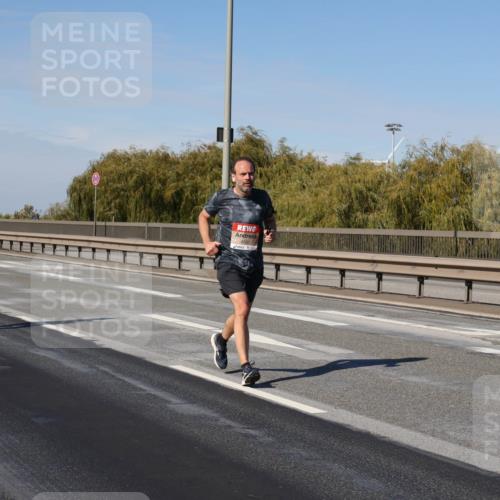 03.10.2025 - Köhlbrandbrückenlauf Julia Fischer http://msf.ph/oto/9008742 03.10.2025 12:51:17 Position 3 4332 meine-sportfotos.de