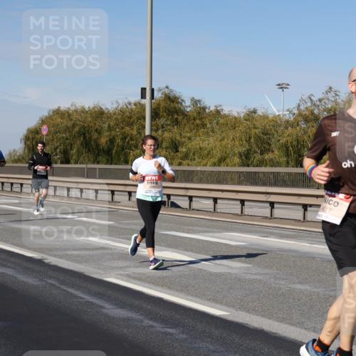 03.10.2025 - Köhlbrandbrückenlauf Julia Fischer http://msf.ph/oto/9008883 03.10.2025 12:51:36 Position 3 4217 meine-sportfotos.de