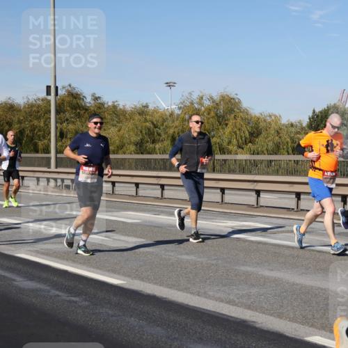 03.10.2025 - Köhlbrandbrückenlauf Julia Fischer http://msf.ph/oto/9009048 03.10.2025 12:52:04 Position 3 6041 meine-sportfotos.de