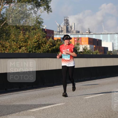03.10.2025 - Köhlbrandbrückenlauf Luisa Fischer http://msf.ph/oto/9009400 03.10.2025 10:51:19 Position 3 1119 meine-sportfotos.de
