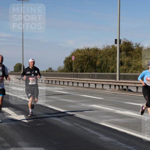 03.10.2025 - Köhlbrandbrückenlauf Julia Fischer http://msf.ph/oto/9009503 03.10.2025 12:53:08 Position 3 20, 4 meine-sportfotos.de