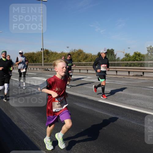 03.10.2025 - Köhlbrandbrückenlauf Julia Fischer http://msf.ph/oto/9009828 03.10.2025 12:54:02 Position 3 60 meine-sportfotos.de