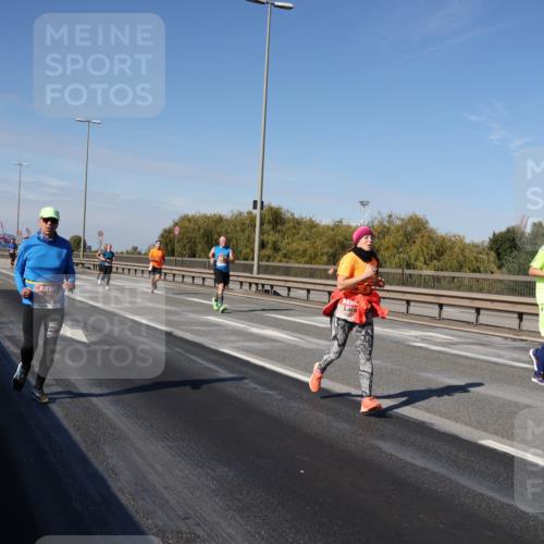 03.10.2025 - Köhlbrandbrückenlauf Julia Fischer http://msf.ph/oto/9009898 03.10.2025 12:54:14 Position 3  meine-sportfotos.de