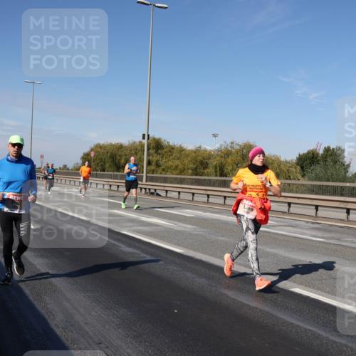 03.10.2025 - Köhlbrandbrückenlauf Julia Fischer http://msf.ph/oto/9009904 03.10.2025 12:54:15 Position 3 111 meine-sportfotos.de