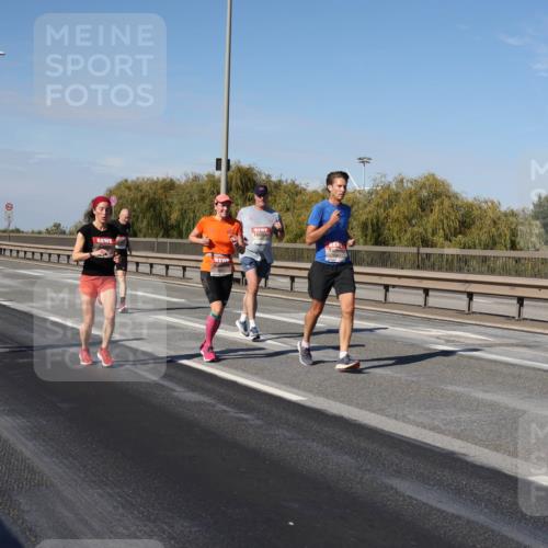 03.10.2025 - Köhlbrandbrückenlauf Julia Fischer http://msf.ph/oto/9009987 03.10.2025 12:54:28 Position 3  meine-sportfotos.de