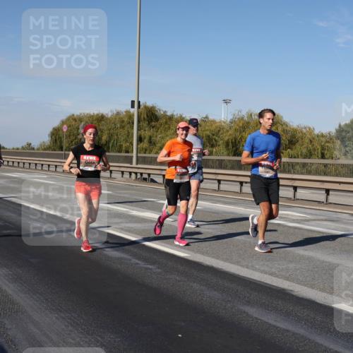 03.10.2025 - Köhlbrandbrückenlauf Julia Fischer http://msf.ph/oto/9009990 03.10.2025 12:54:29 Position 3  meine-sportfotos.de