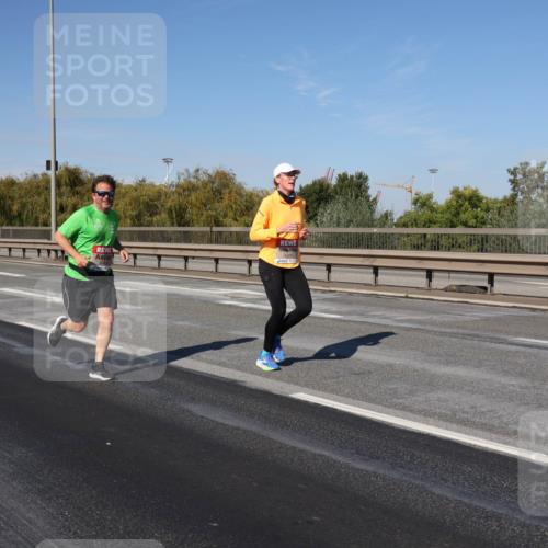 03.10.2025 - Köhlbrandbrückenlauf Julia Fischer http://msf.ph/oto/9010130 03.10.2025 12:54:59 Position 3  meine-sportfotos.de