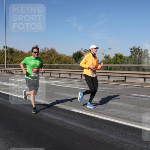 03.10.2025 - Köhlbrandbrückenlauf Julia Fischer http://msf.ph/oto/9010135 03.10.2025 12:54:59 Position 3  meine-sportfotos.de