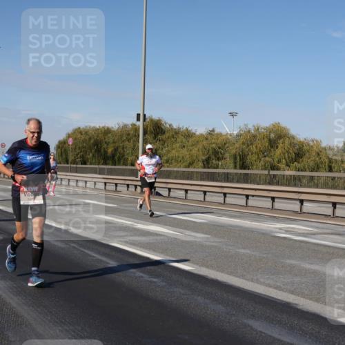 03.10.2025 - Köhlbrandbrückenlauf Julia Fischer http://msf.ph/oto/9010319 03.10.2025 12:55:40 Position 3 597 meine-sportfotos.de