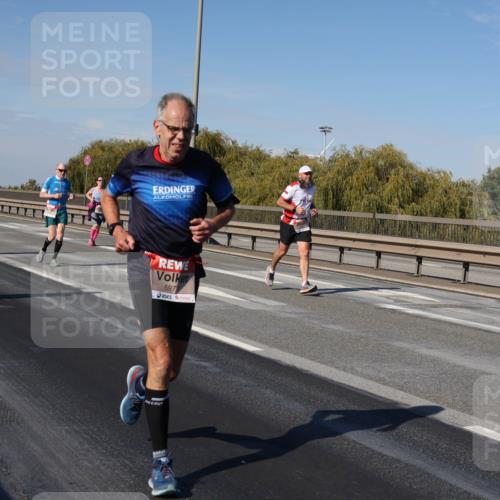 03.10.2025 - Köhlbrandbrückenlauf Julia Fischer http://msf.ph/oto/9010324 03.10.2025 12:55:42 Position 3 5977 meine-sportfotos.de
