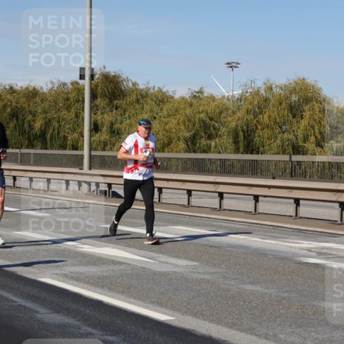 03.10.2025 - Köhlbrandbrückenlauf Julia Fischer http://msf.ph/oto/9010469 03.10.2025 12:56:11 Position 3  meine-sportfotos.de