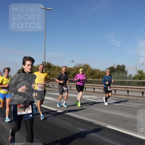 03.10.2025 - Köhlbrandbrückenlauf Julia Fischer http://msf.ph/oto/9010897 03.10.2025 12:57:28 Position 3 6705 meine-sportfotos.de
