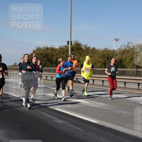 03.10.2025 - Köhlbrandbrückenlauf Julia Fischer http://msf.ph/oto/9010975 03.10.2025 12:57:48 Position 3 6487 meine-sportfotos.de