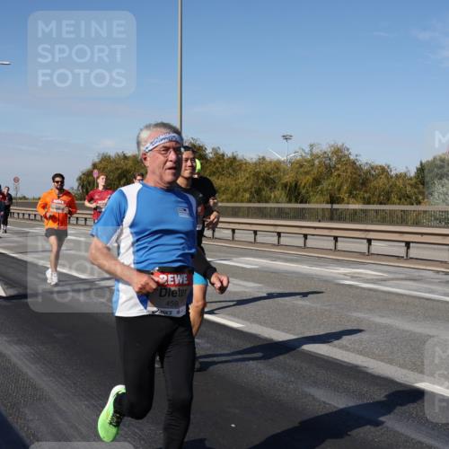 03.10.2025 - Köhlbrandbrückenlauf Julia Fischer http://msf.ph/oto/9011022 03.10.2025 12:57:56 Position 3 459 meine-sportfotos.de