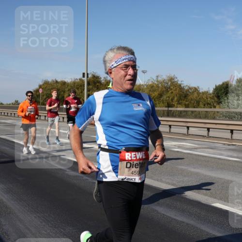 03.10.2025 - Köhlbrandbrückenlauf Julia Fischer http://msf.ph/oto/9011025 03.10.2025 12:57:56 Position 3 459 meine-sportfotos.de
