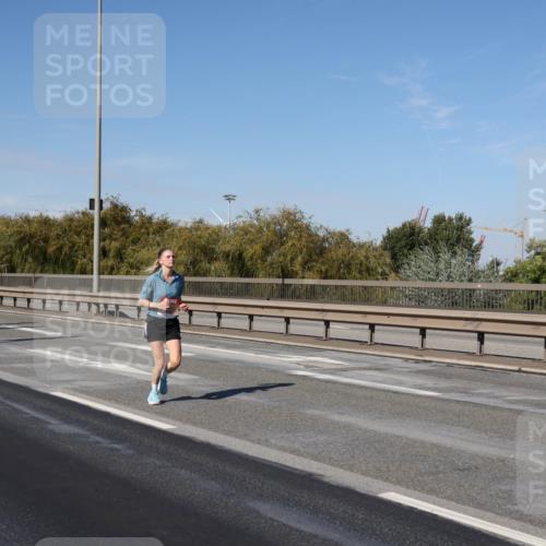 03.10.2025 - Köhlbrandbrückenlauf Julia Fischer http://msf.ph/oto/9011048 03.10.2025 12:57:59 Position 3  meine-sportfotos.de